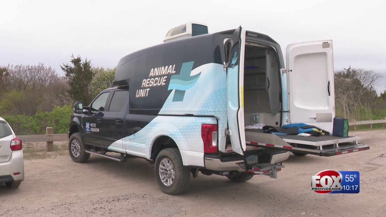 Mystic Aquarium team trains with new off-road response vehicle