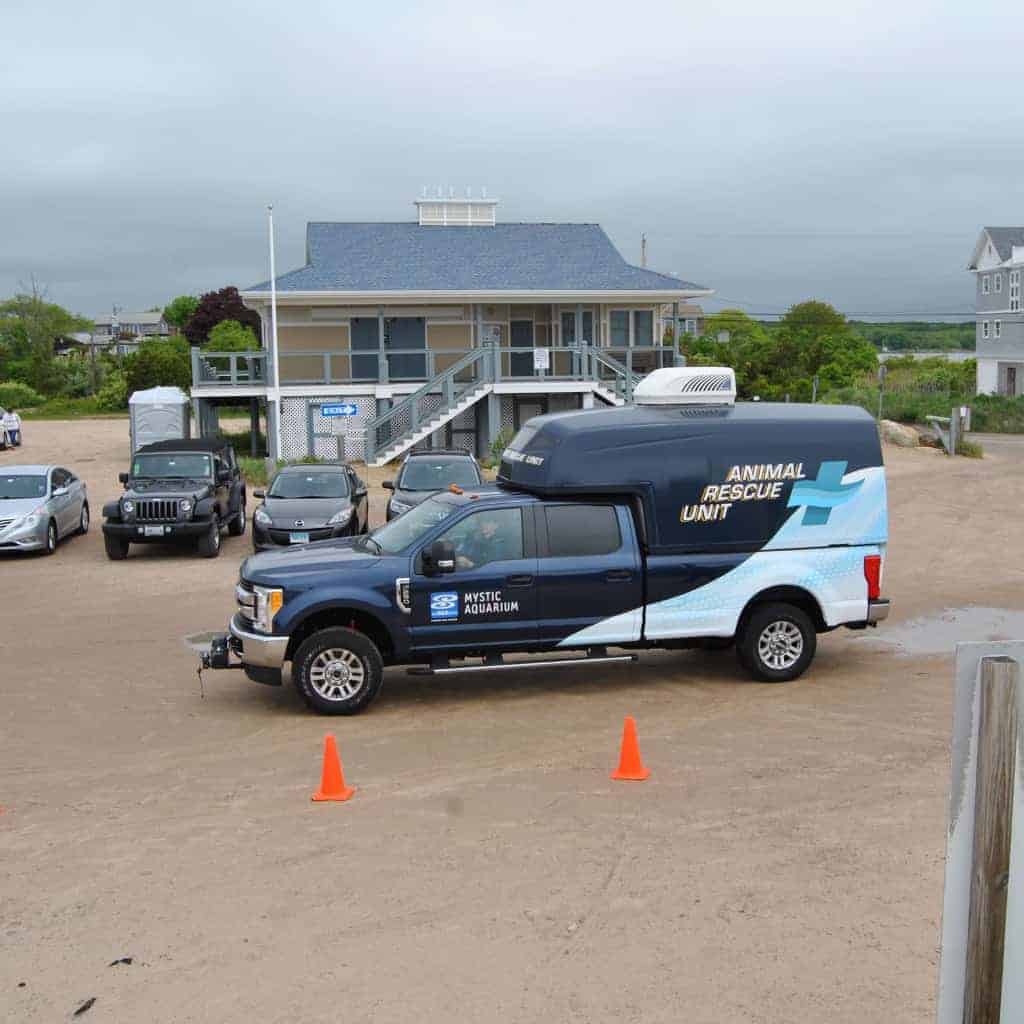 Dark blue Animal Rescue Unit truck parked on sandy lot with orange cones and building in background